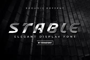 Stable Elegant Display font