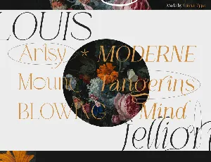 LOUIS felligri font