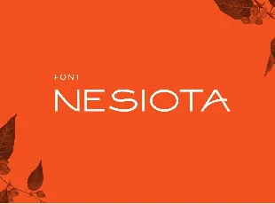 Nesiota font