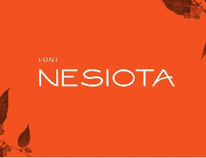 Nesiota font