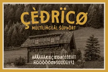 Cedrico Demo font