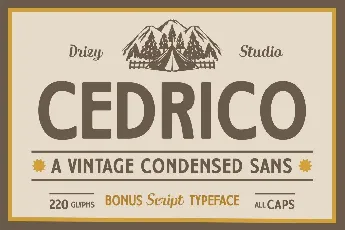 Cedrico Demo font