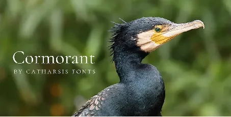 Cormorant font