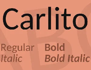 Carlito font