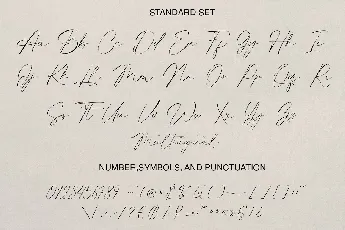 The Culturalist font