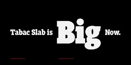 Tabac Big Slab Family font