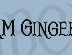 RM Ginger font