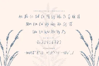 Tibson font