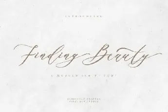 Finding Beauty Script font