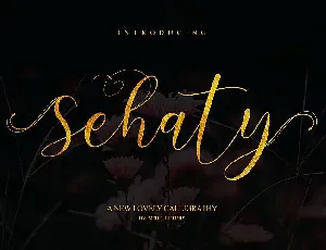 Sehaty Script font