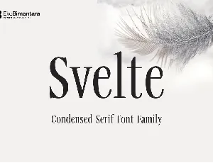 Svelte font