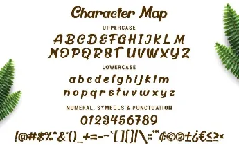 Billyer Dispaly font