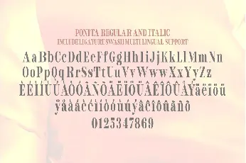 Ponita Serif font