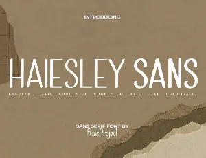 Haiesley Sans font