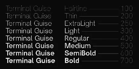 Terminal Guise Sans Serif Demo font