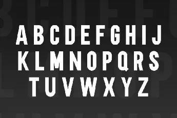 M+ Sans Serif Family font