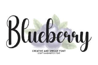 Blueberry Script Typeface font