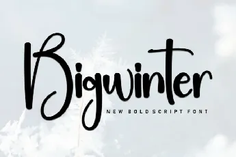 Bigwinter Script font