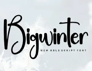 Bigwinter Script font