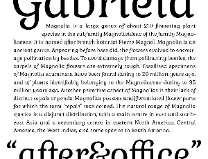 Gabriela font