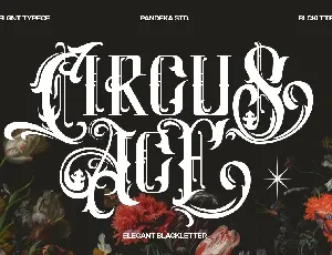 Circus Ace font