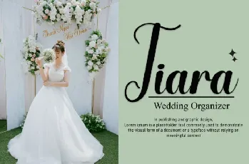 Wedding Reception font