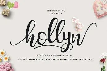 Hollyn font