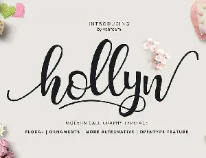 Hollyn font