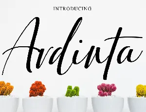 Ardinta font