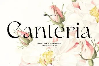 Canteria Free font