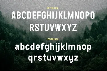 Wolfers font