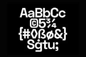 Space Grotesk font