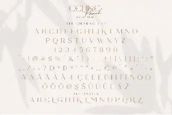 Celine Peach Free font