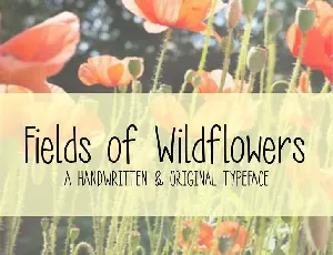 MRF Fields of Wildflowers font