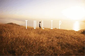 Tulip font