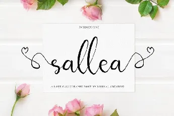 Sellea Modern Calligraphy font