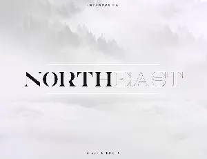 NorthEast Serif font