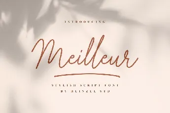 Meilleur Handwritten Script font