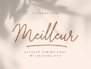 Meilleur Handwritten Script font