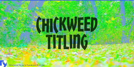 Chickweed Titling font