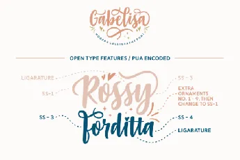 Gabelisa Script font