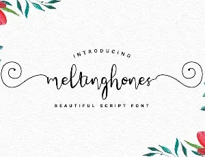 Meltinghones Calligraphy Script font