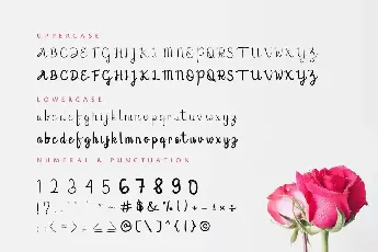 Lovic Demo font