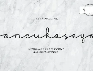 Ancukaseyo Script font