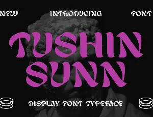 TUSHIN SUNN font