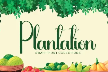 Plantation Script font