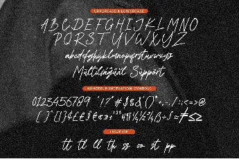 Shandia Signature font