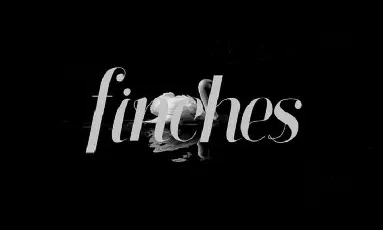 Finches Typeface Free font