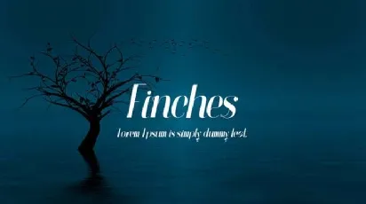 Finches Typeface Free font