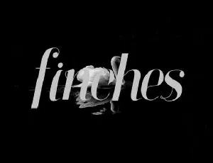 Finches Typeface Free font